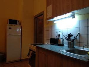 a kitchen with a sink and a refrigerator at HoBar Hostel in Budapest