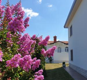 Vonkajšia záhrada v ubytovaní Holiday Apartment VILLA BIANCA