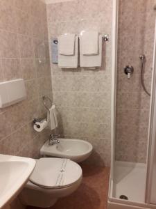 uma casa de banho com um WC, um lavatório e um chuveiro em Casa Salvaterra Affittacamere em Pinzolo