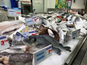 Supermarket nebo jiné obchody v  apartmánu nebo okolí