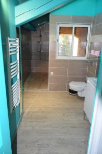 a bathroom with a shower and a toilet at CLOCHI-CLOCHA in Montbrison