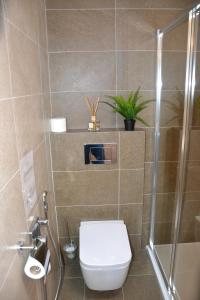 ein Bad mit einem WC und einer Dusche in der Unterkunft Apartmán v Starej Lesnej s balkónom in Stará Lesná