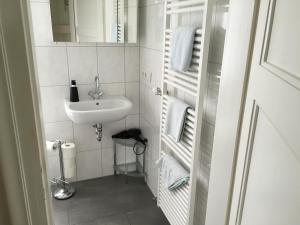 a small white bathroom with a sink and towels at Winzerhof Schwerdt in Bad Dürkheim +36 photos