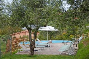 a swimming pool with lounge chairs and an umbrella at Le Donne di Bargecchia in Corsanico-Bargecchia