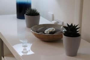 eine Schale mit Steinen auf einer Theke mit zwei Topfpflanzen in der Unterkunft Eve's Corner in Bideford