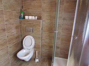 a bathroom with a toilet and a shower at Rekreační dům v Brdech Pod Svatou Annou in Ohrazenice