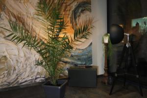 Foto Jenas asuva majutusasutuse Hotel Eulensteins galeriist