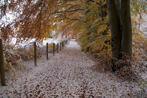 Gambar di galeri bagi Gasthof Jägerheim di Birgland