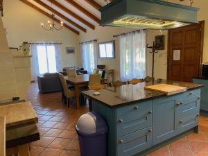 Artignosc-sur-VerdonにあるLa Cheneraieの- 青い島の真ん中のキッチン