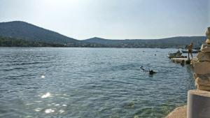 Fotografie z fotogalerie ubytování Apartment Maslina v destinaci Vinišće