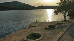 Fotografie z fotogalerie ubytování Apartment Maslina v destinaci Vinišće