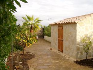 A garden outside carpe Diem