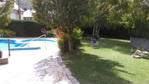 a tree in the middle of a yard with a pool at Coma de Alba Benasque in Benasque