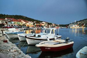 Fotografie z fotogalerie ubytování Apartment Maslina v destinaci Vinišće