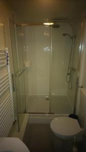 a bathroom with a glass shower with a toilet at Gemütliches Haus mit Sauna im Voralpenland in Peißenberg +23 photos