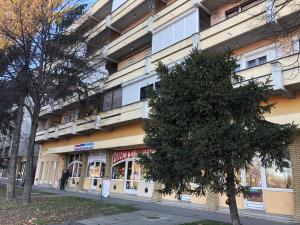 カポシュヴァールにあるBerzsenyi Apartman Kaposvárの建物の前に立っている男性