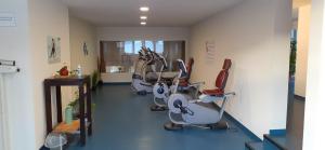 Centrul de fitness și/sau facilități de fitness de la Ferienwohnung Falkennest