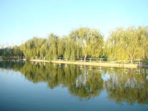 Billede fra billedgalleriet på Hotel Popasul Iancului i Corbii Mari + 17 billeder