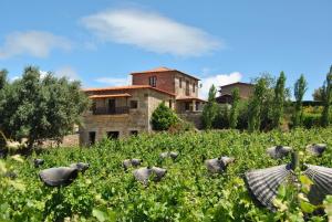 un grupo de pastoreo de ovejas en un campo de cultivos en Casa de Sao Miguel Douro en Armamar