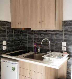 uma cozinha com um lavatório e uma máquina de lavar louça em Giannis em Agios Georgios Pagon