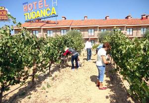 Hosté ubytování Hotel Spa Tudanca Aranda