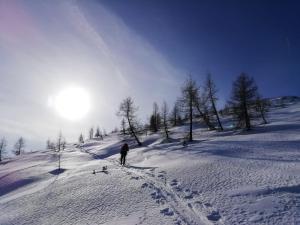 Camere Nordest Sudest- Conca Agordina talvel