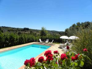 una piscina con flores rojas y sombrillas en La Compagnia del Chianti, en San Donato in Poggio