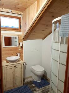 uma casa de banho com um WC e um lavatório em B&B ABETE BIANCO em Auronzo di Cadore