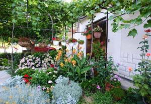 einen Garten mit vielen verschiedenen Arten von Blumen in der Unterkunft Apts Milica - parking and garden in Kaštela