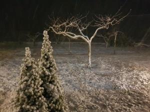 Etna, salvia e rosmarino during the winter