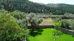 an aerial view of a garden with a tree at House of Garden in Dhráganon