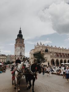 Hostia v ubytovaní Last Floor Apartment - Krakow City Center close to Old Town