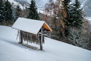 ein schneebedecktes Vogelhaus an einem schneebedeckten Hang in der Unterkunft Das Haus Kunz in Imsterberg