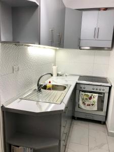 uma cozinha com um lavatório e um fogão em Superb studio apartment near to the city center em Tirana