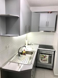 uma pequena cozinha com um lavatório e um fogão em Superb studio apartment near to the city center em Tirana