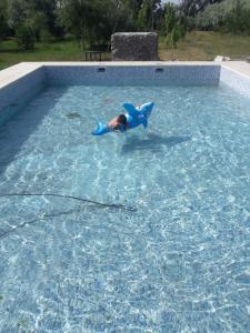 a person in a blue costume in a swimming pool at Chalecito Campestre Centrico in Malargüe +13 photos