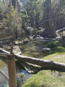 un pont en bois sur un ruisseau dans une forêt dans l'établissement Rain Forest Inn, à Ringlet