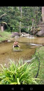 a man sitting on an elephant in a river at Rain Forest Inn in Ringlet