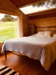 a bed in a wooden room with a large window at HOBU MONTAÑA in La Calera