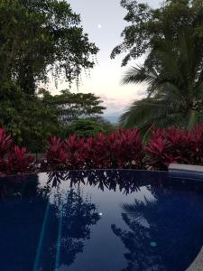 una piscina con vista su alberi e fiori di Hotel Grosseto Palma Real a Loma