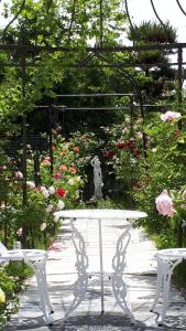 Gallery image of Rosencat in Sado