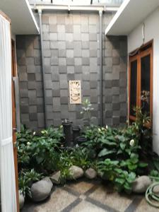 Zahrada ubytování Villa Taribandung