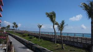 花蓮市的住宿－花蓮浪淘沙看海民宿，棕榈树海滩和大海背景