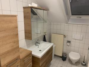 une salle de bain avec un lavabo et des toilettes dans l'établissement Haus Fasanenweg, à Mutlangen 16 autres photos