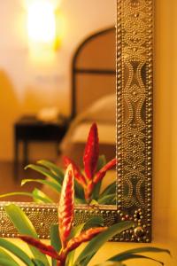 Fotografie z fotogalerie ubytování Hotel Novecento v Římě