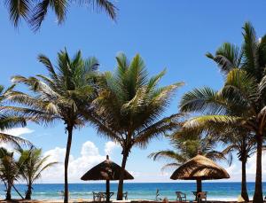 a beach with palm trees and chairs and the ocean at Oasey Beach Hotel in Bentota