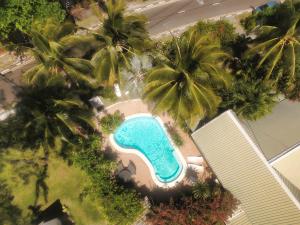 einen Blick über einen Pool mit Palmen in der Unterkunft Chantauvent Guest House in Blue Bay