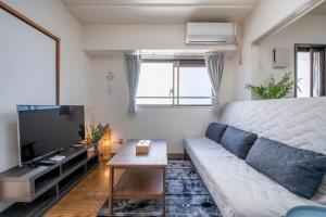 TV a/nebo společenská místnost v ubytování Uhome Akihabara Apartment 3