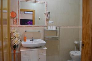 Koupelna v ubytování Hostal Carrizo