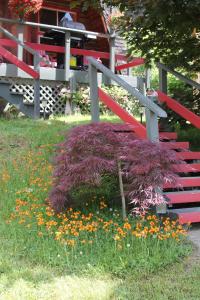 Eine rote Bank mit einem Haufen Blumen im Gras. in der Unterkunft Sunny Bluffs Chalets in Kaslo